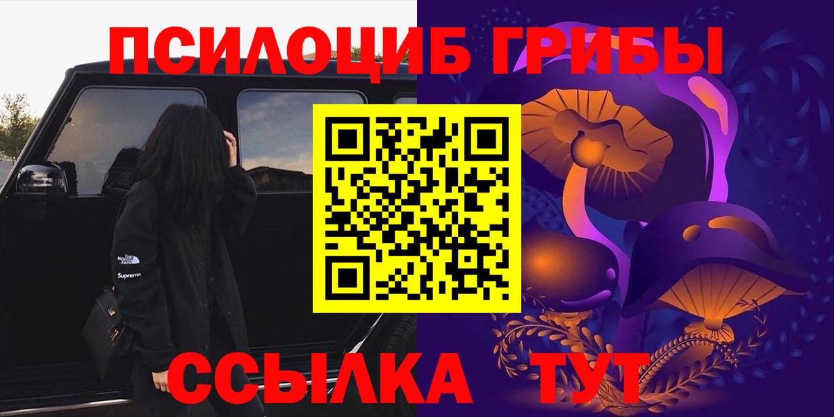 Псилоцибиновые грибы прущие грибы  Вход с VPN  Шебекино 